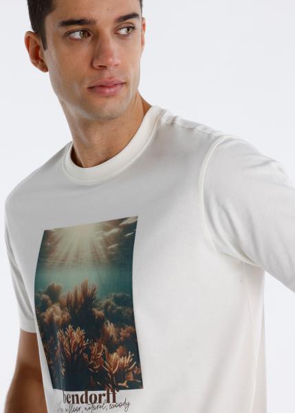 CAMISETA " BENDORFF "